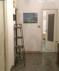 Camera singola studentessa - Via Santo Stefano Camera singola studentessa - Via Santo Stefano