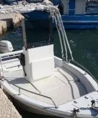 SAVER +Johnson 40CV 4tempi + carrello OMOLOGATO SAVER +Johnson 40CV 4tempi + carrello OMOLOGATO