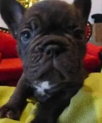 Bambino fortunato - Bullys Bambino fortunato - Bullys