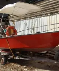 Barca con Carrello Barca con Carrello