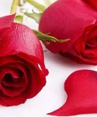 amore senza confini amore senza confini