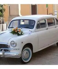 Fiat 1400 D lunga