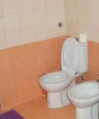 Doppia in centro-all inclusive Doppia in centro-all inclusive