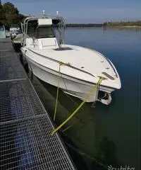 WELLCRAFT SCARAB 302 SPORT