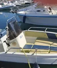 Barca 6mt open motore Evinrude