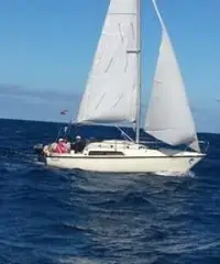 Vendo jouet 22 in ottime condizioni