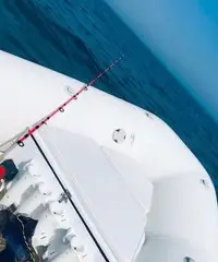 Zodiac Yacthline 340 + Johnson 15 cv 2t Zodiac Yacthline 340 + Johnson 15 cv 2t