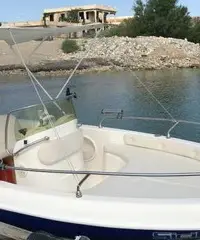 Barca 5.20 mt 6 posti motore 40 cv senza patente Barca 5.20 mt 6 posti motore 40 cv senza patente