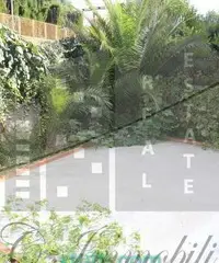 Pineta Sacchetti - Gregorio IX