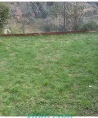 Affitto casa con giardino celle ligure