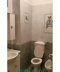 APPARTAMENTO ZONA NAIADI APPARTAMENTO ZONA NAIADI