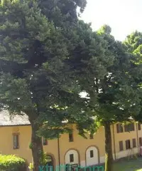 Saloni per eventi - matrimoni, battesimi, comunioni Saloni per eventi - matrimoni, battesimi, comunioni