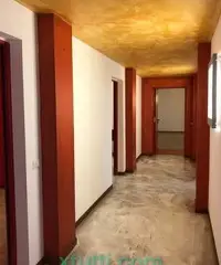 Affitto Sale - Coworking Affitto Sale - Coworking