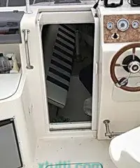 Semicabinato Day 20 anno 2010