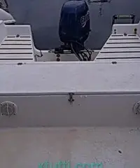 Barca a motore