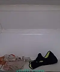 Barca a motore Barca a motore