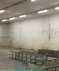 Capannone Artigianale mq 910 Cod.A - 714 Capannone Artigianale mq 910 Cod.A - 714