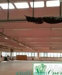 Capannone uso artigianale/magazzino mq 900 A-715