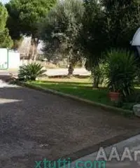 Capannone uso magazzino e artigianale mq 400 A-711 Capannone uso magazzino e artigianale mq 400 A-711