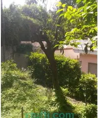 Affitasi soluzione indipendente Affitasi soluzione indipendente