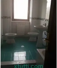 Affitasi soluzione indipendente Affitasi soluzione indipendente