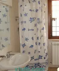 Palestrina RM VENDO BILOCALE CON GIARDINO Palestrina RM VENDO BILOCALE CON GIARDINO