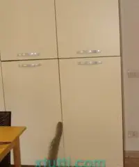 Palestrina RM VENDO BILOCALE CON GIARDINO Palestrina RM VENDO BILOCALE CON GIARDINO