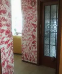 Attico luminoso e spazioso Attico luminoso e spazioso