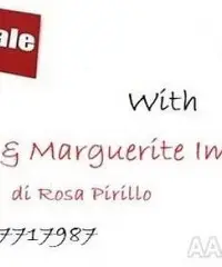 Commercial Property, Sales Investment In Tuscany Viareggio Commercial Property, Sales Investment In Tuscany Viareggio