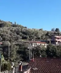 Appartamento 100mq Reggello (Fi) Appartamento 100mq Reggello (Fi)