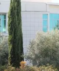 Ufficio mq 3030 Via Collatina Cod.V-241 Ufficio mq 3030 Via Collatina Cod.V-241