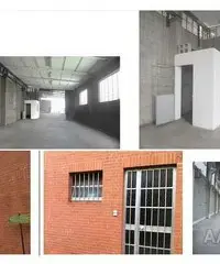 2 Capannoni artigianali, appartamento, ampio terreno