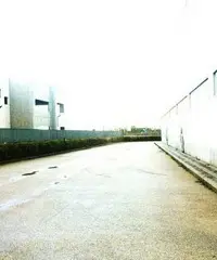 Capannone commerciale / industriale Capannone commerciale / industriale