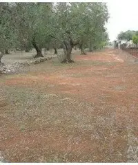 Terreno agricolo a Parabita