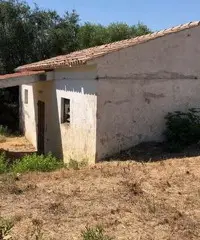 Terreno edificabile Lu Fraili San Teodoro Terreno edificabile Lu Fraili San Teodoro