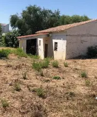 Terreno edificabile Lu Fraili San Teodoro Terreno edificabile Lu Fraili San Teodoro