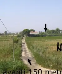 Terreno edificabile 5000mq