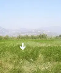 Terreno edificabile 5000mq