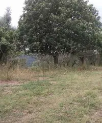 Rustico a Spacca la Canna (Guidonia) Rustico a Spacca la Canna (Guidonia)