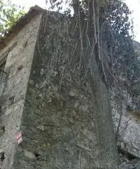 Rustico con un ettaro di terreno Rustico con un ettaro di terreno