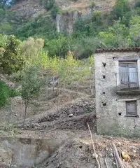 Rustico con un ettaro di terreno Rustico con un ettaro di terreno