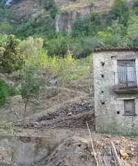 Rustico con un ettaro di terreno Rustico con un ettaro di terreno