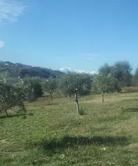 Bilocale in campagna per 2 persone solo consumi Bilocale in campagna per 2 persone solo consumi
