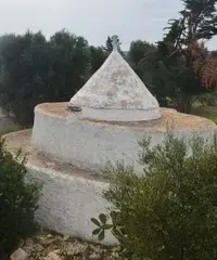 Rustico + terreno 4327mq