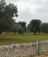 Rustico + terreno 4327mq