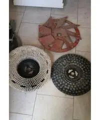 Monospazzola Monospazzola