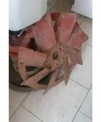 Monospazzola Monospazzola