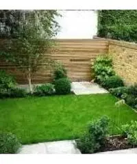 Giardiniere Tree Climbing