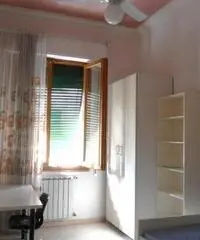 Camera singola a ragazza non fumatrice