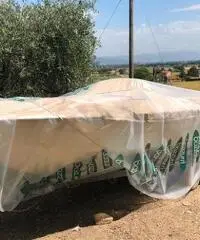 Angelo Molinari 480
